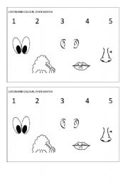 English Worksheet: parts of the face