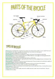 English Worksheet: PARTS OF THE BYCICLE