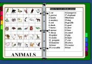 English Worksheet: Animals /matching