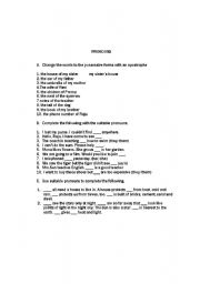 English Worksheet: Pronouns