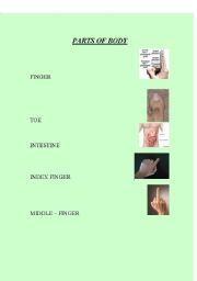 English worksheet: PARTS OF BODY