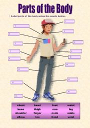 English Worksheet: Parts of the Body