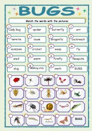 English Worksheet: BUGS