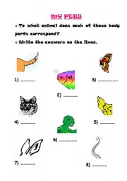 English worksheet: My Pets