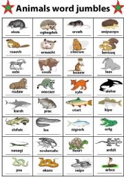 English Worksheet: animals word  jumbles