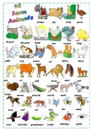 Find 40 Farm Animals