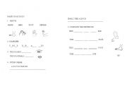 English Worksheet: parts of the body
