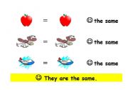 English worksheet: SAME or NOT THE SAME 