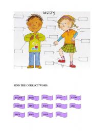 English Worksheet: OUR BODY