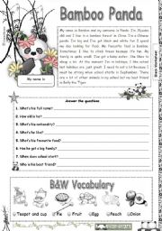 English Worksheet: Bamboo Panda