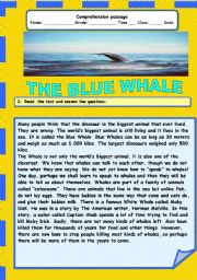 English Worksheet: The blue whale