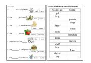 singular and plural nouns