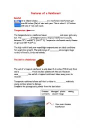 English Worksheet: Features of a Rainforest - clozed procedure