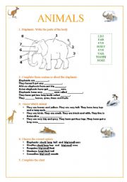 English Worksheet: ANIMALS