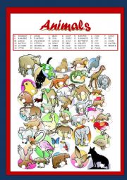 English Worksheet: Animals 
