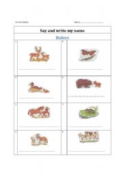 English worksheet: Animal baby