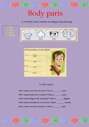 English Worksheet: body parts