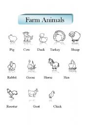 English Worksheet: Farm Animals