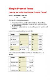 English worksheet: Simple Present Tense 