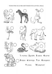 English Worksheet: WILD ANIMALS