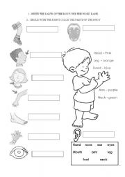 English Worksheet: PARTS OF THE BODY