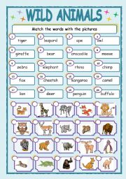 English Worksheet: wild animals