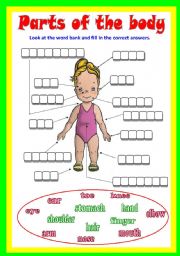 English Worksheet: Parts of the body 
