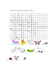 English Worksheet: Insects and farm animal