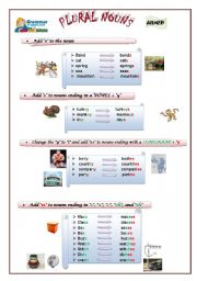 Plural Nouns Part 1