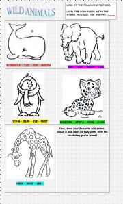 English Worksheet: WILD ANIMALS - BODY PARTS