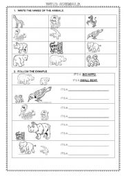 English Worksheet: Wild Animals Activities