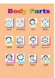 English Worksheet: Body Parts (1of2)