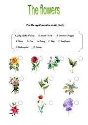 English Worksheet: The flowers