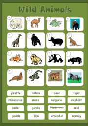 English Worksheet: WILD ANIMALS - matching