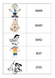 English worksheet: people and animals 