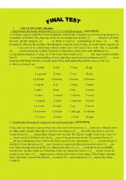 English Worksheet: Final Test - 9th grade