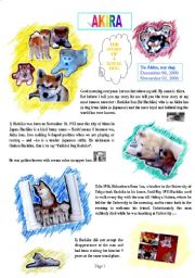 English Worksheet: Hachiko and Akira : a legend and a true story