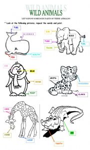 English Worksheet: WILD ANIMALS - BODY PARTS