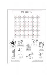 English Worksheet: body puzzle