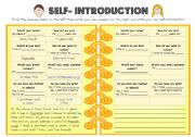 English Worksheet: Introductions