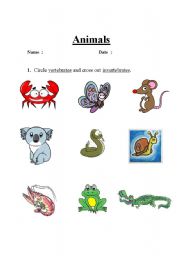 English Worksheet: Vertebrate or Invertebrates