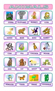 English Worksheet: Animal Pictionary