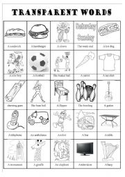 English Worksheet: Transparent words pictionary
