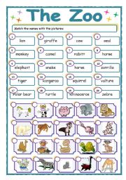 English Worksheet: The zoo, reading + exercises