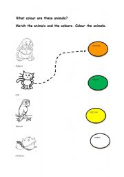 English Worksheet: Colourful Pets