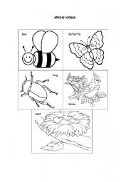 English Worksheet: spring vocabulary