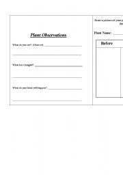 English Worksheet: Plant Observation Jounral 