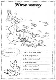 English Worksheet: how many