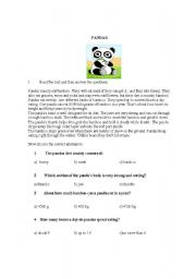 English Worksheet: Reading comprehension