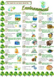 English Worksheet: Environment-Quiz